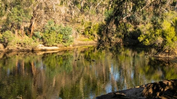 Kingfisher Trail Walk (6km) Kingfisher trail walk (6km)