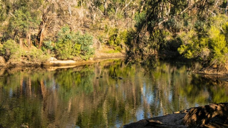 Kingfisher Trail Walk (6km) Kingfisher trail walk (6km)