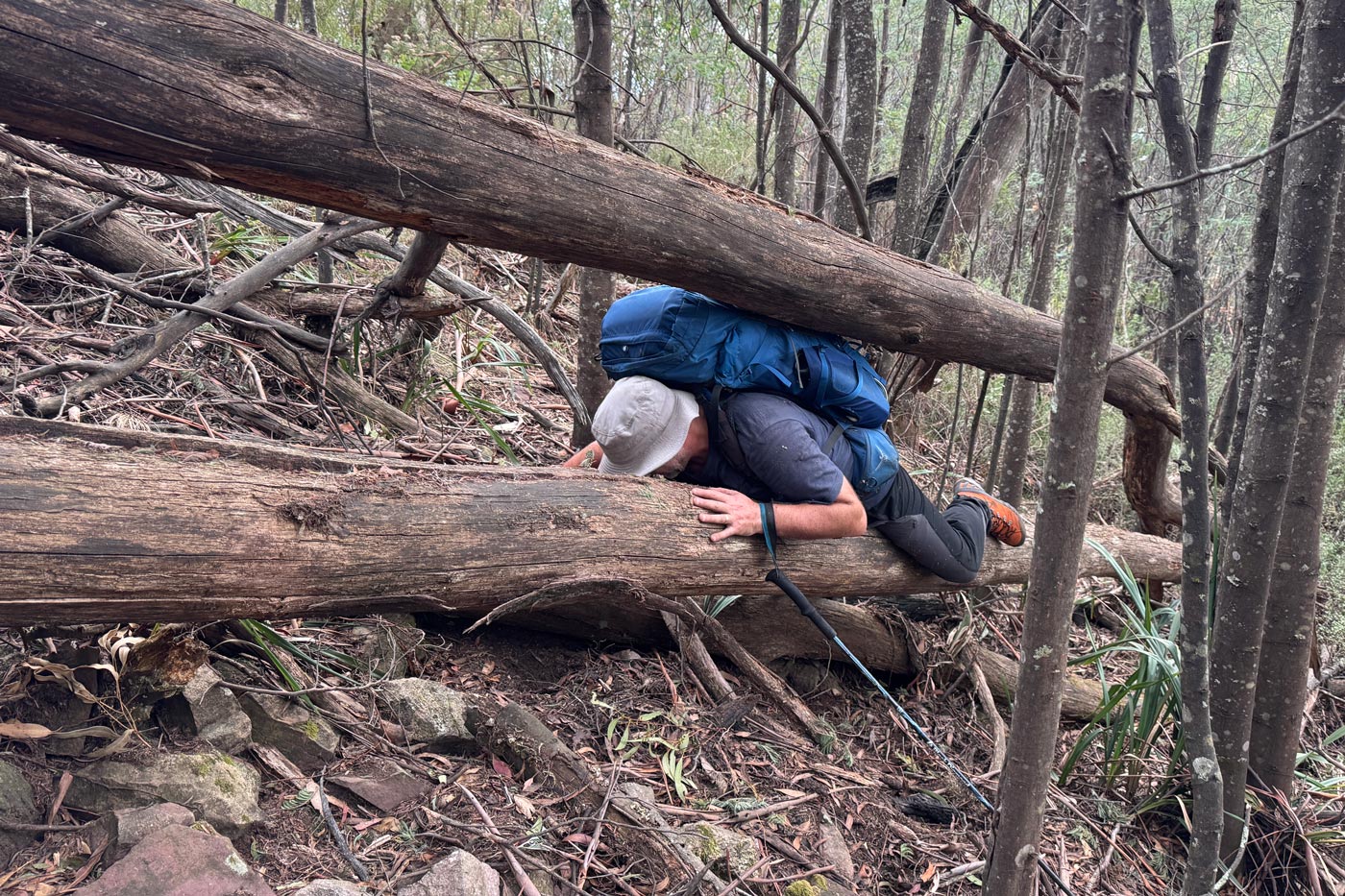 No dignity, just determination. Sometimes the trail doesn't let you walk tall—you have to crawl.