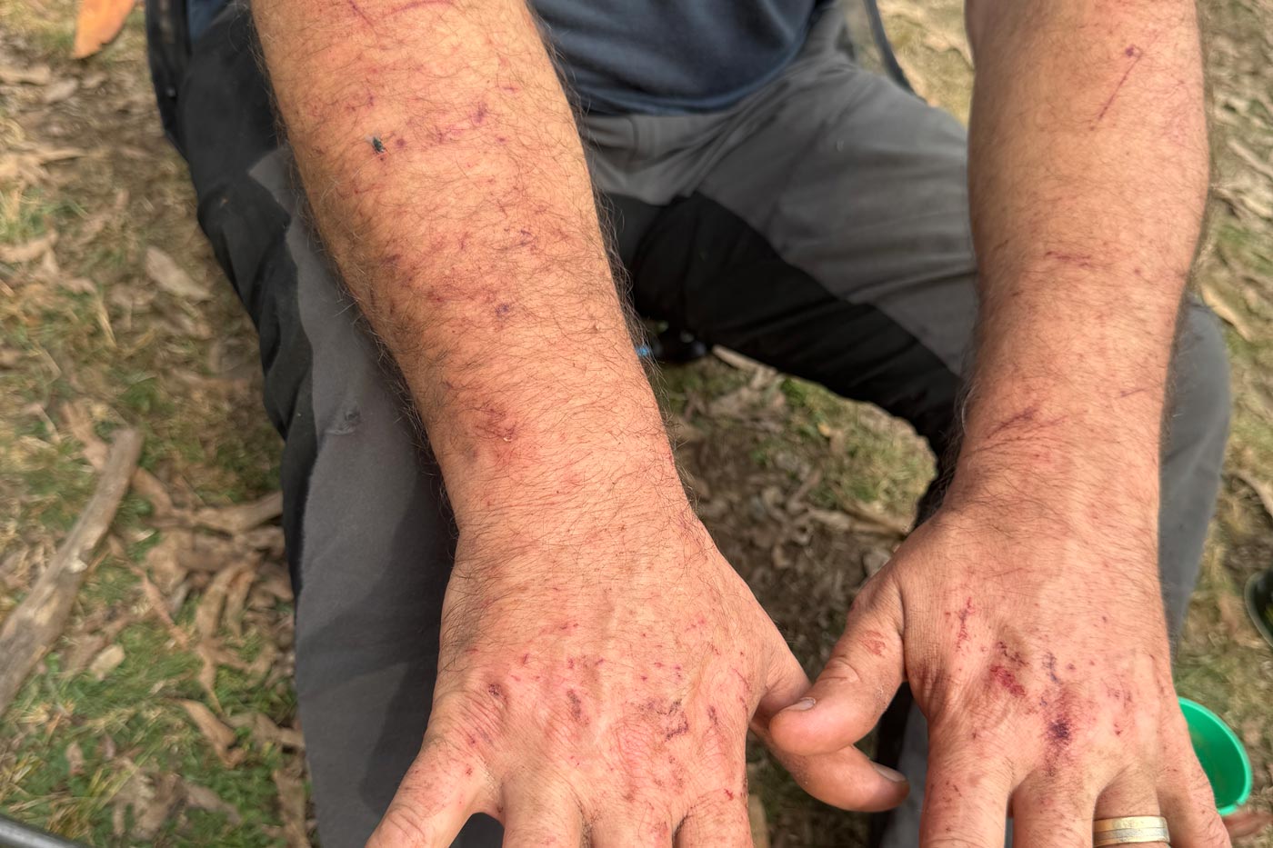 Some hikes don't just test us mentally; they fight us physically.