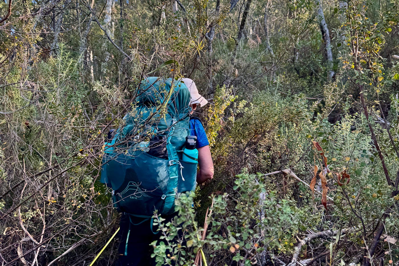 Fighting scrub and momentum along the razor ridgeline in the victorian high country.