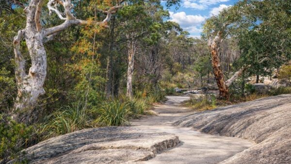 Bald Rock Creek Circuit Walk Bald rock creek circuit walk