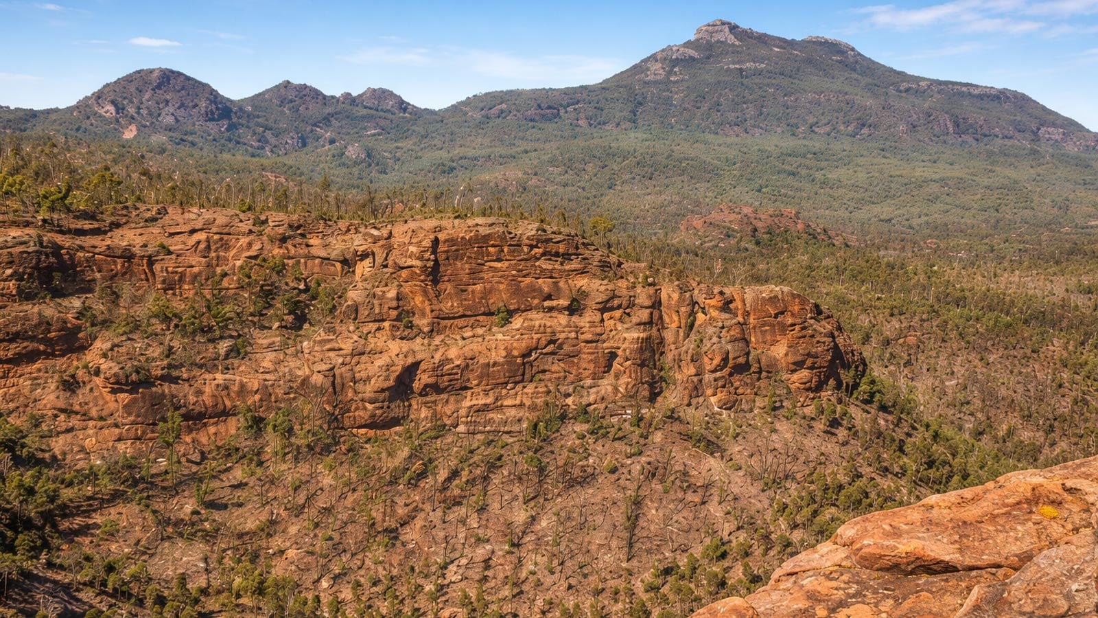 Wide view of rugged volcanic cliffs and forested valleys in warrumbungle national park under a clear blue sky.