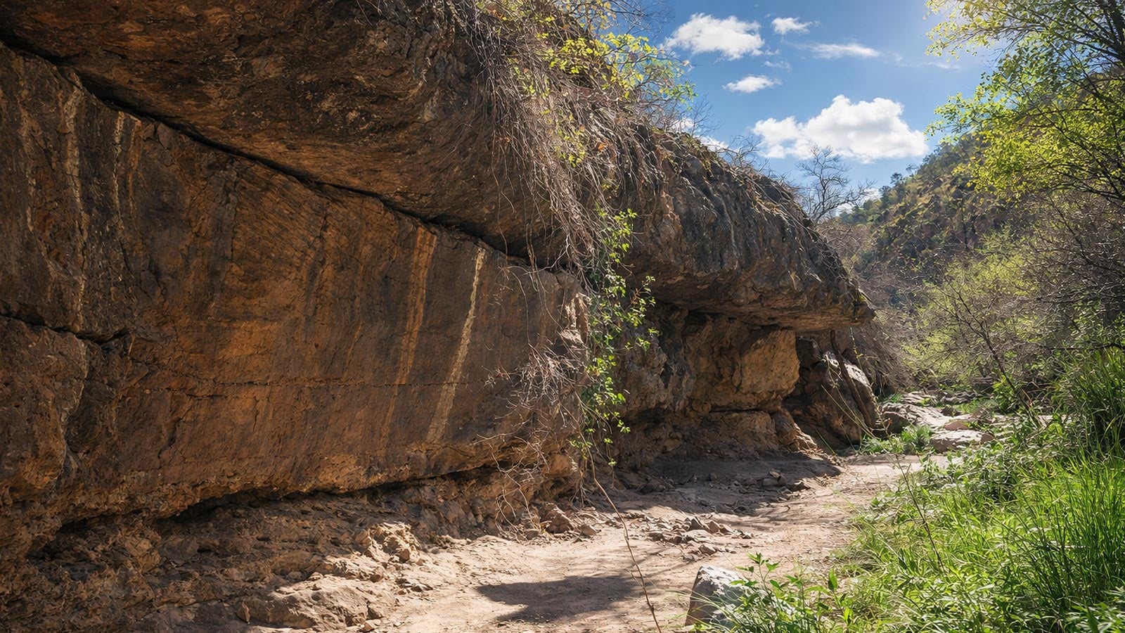 Narrow walking track running beside shaded sandstone canyon walls with overhanging rock and surrounding vegetation in warrumbungle national park.