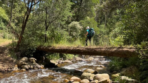 Howqua Feeder and Stanleys Name Spur Hike (25km) Delatite river trail alpine national park 600x338