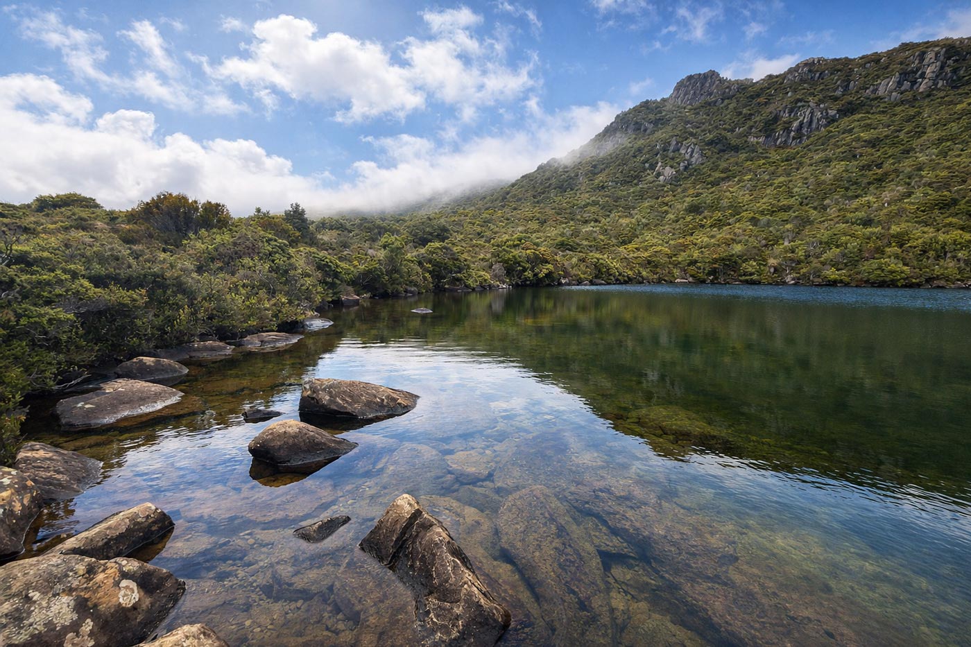 Shallow rocky shoreline beside a clear alpine lake, with forested hills and low cloud rising above the water in hartz mountains national park.