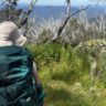 Solo hiker with a full pack pausing on a bush track