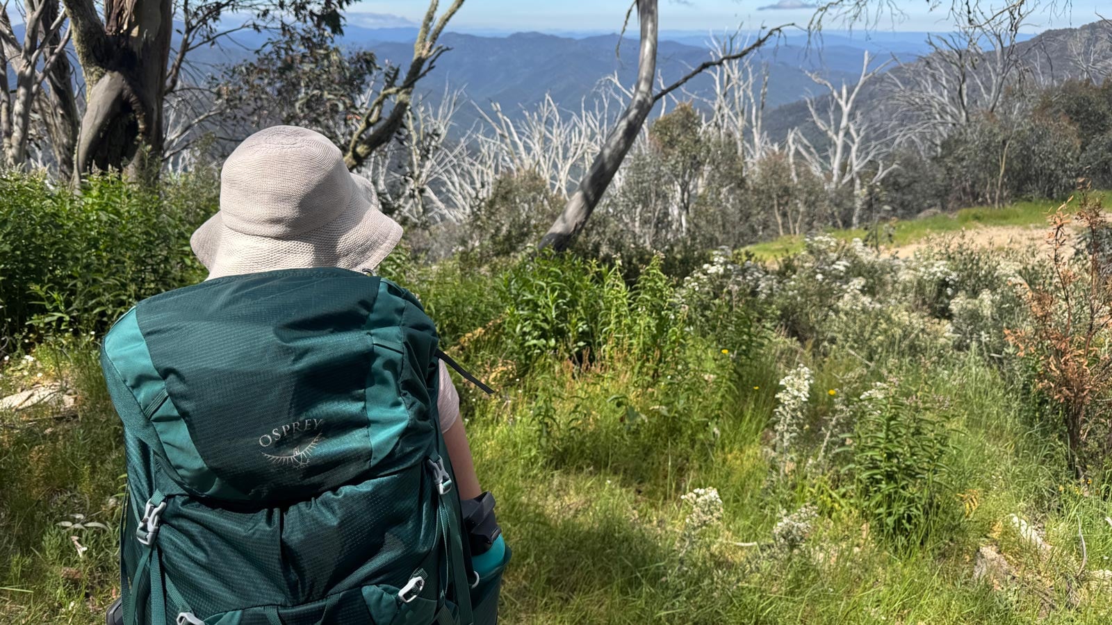Solo hiker with a full pack pausing on a bush track