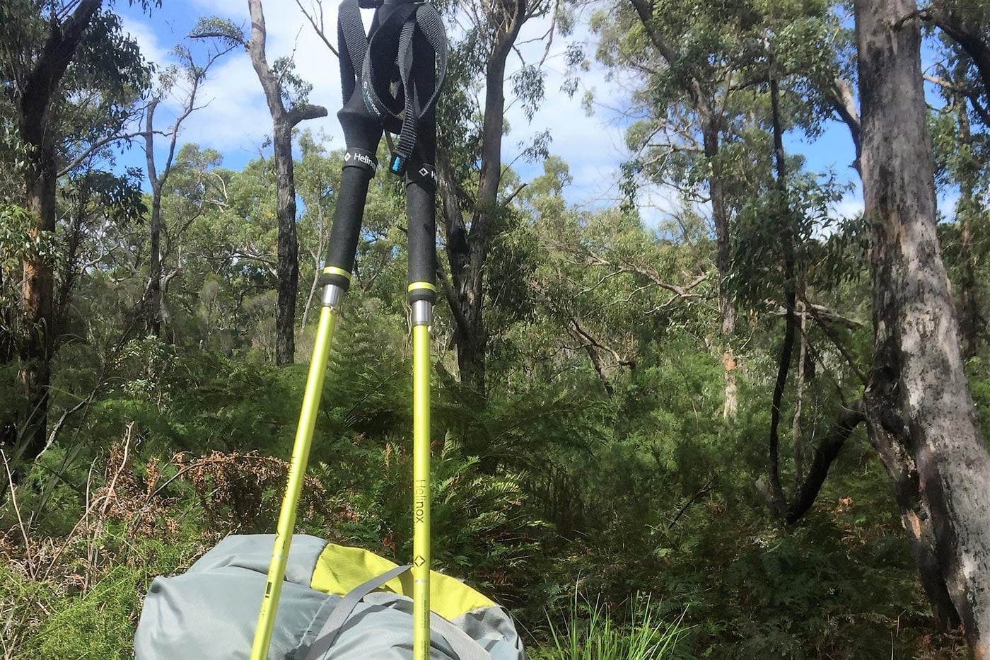 Fixed-length hiking poles standing upright on a backpack in australian bushland, showing non-adjustable pole shafts