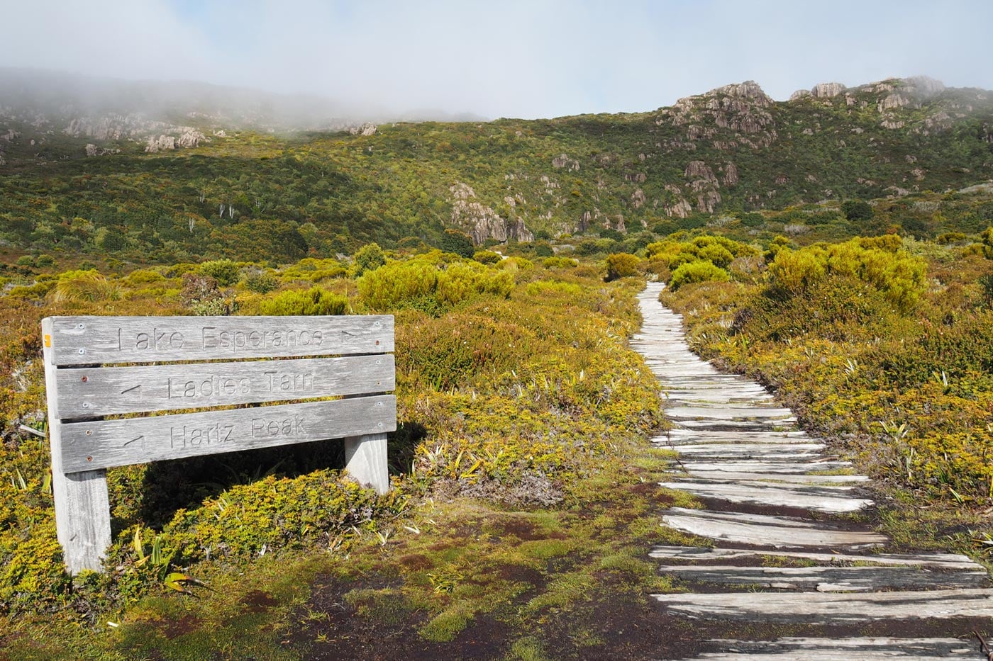 Timber signpost pointing toward lake esperance, ladies tarn and hartz peak beside a boardwalk track in hartz mountains national park.