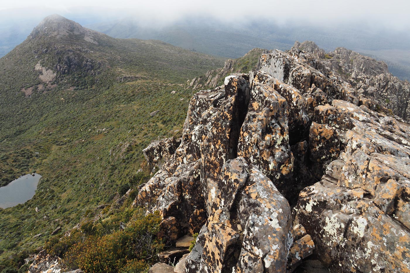 Rocky dolerite ridgeline with steep drops and alpine vegetation, looking toward hartz peak under low cloud in hartz mountains national park.