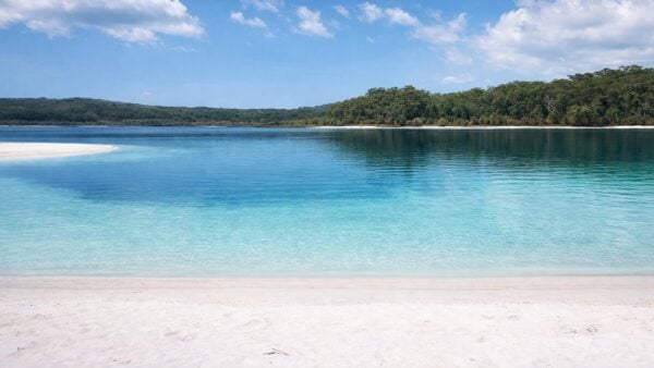 Lake McKenzie Circuit Hike Lake mckenzie circuit hike