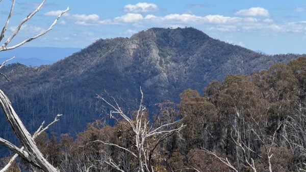 Little Mount Buller Walk Little mount buller walk