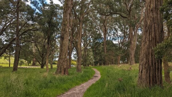 Mount Buninyong Zigzag Summit Walk Mount buninyong zigzag summit walk