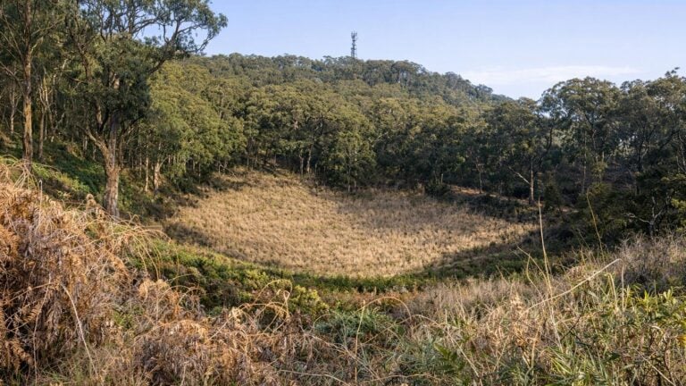 Mount Buninyong the Crater Walk Mount buninyong the crater walk