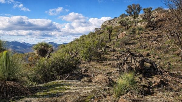 Mount exmouth walking track