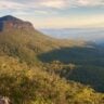 Forested valley and sandstone escarpment in the blue mountains
