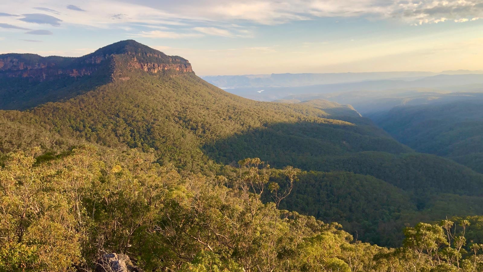 Forested valley and sandstone escarpment in the blue mountains
