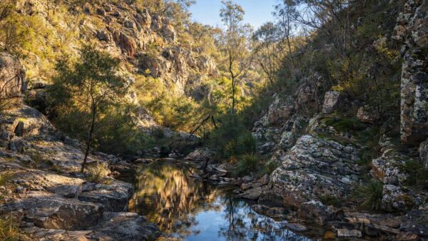 Steiglitz three creeks circuit