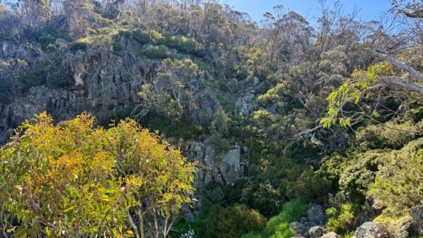 The Canyon Walk The canyon walk