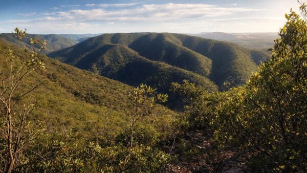 The Scenic Rim: River & Link 1 Hike The scenic rim: river & link 1 hike