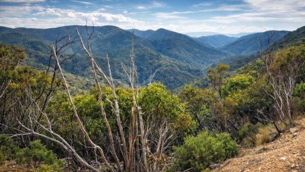 The Scenic Rim: River & Link 2 Hike The scenic rim: river & link 2 hike