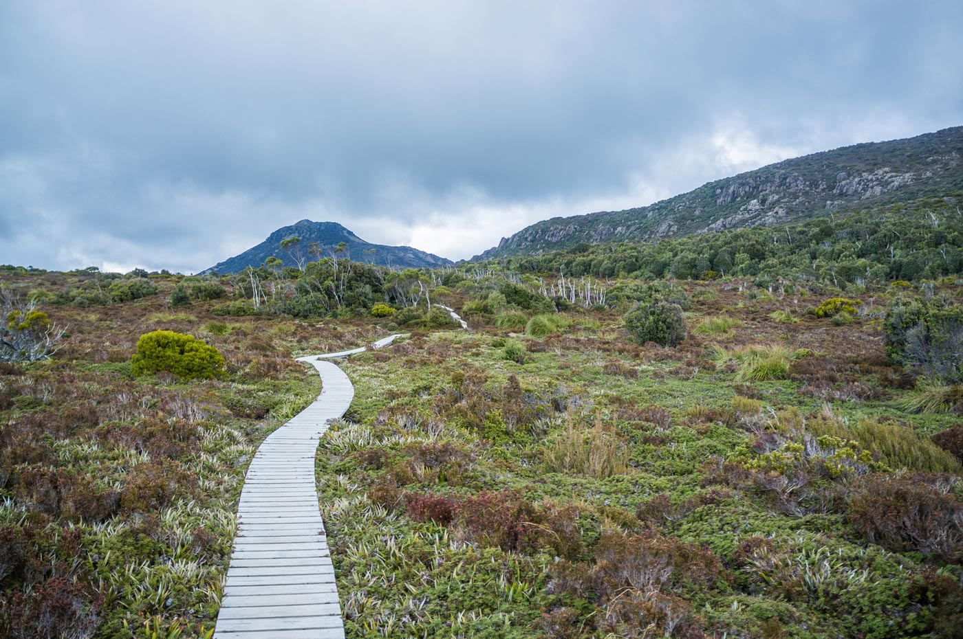 Timber boardwalk winding through alpine vegetation toward low mountain ridges under heavy cloud in hartz mountains national park.