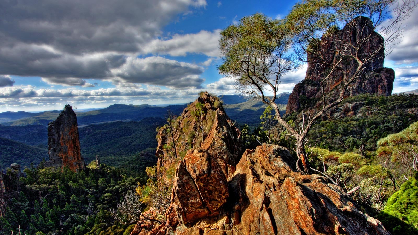 Warrumbungle national park