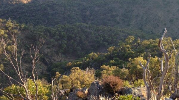 Werribee Gorge: OffTrail Werribee gorge: offtrail