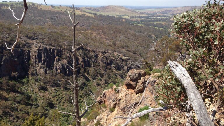Werribee Gorge: Rim Hike Werribee gorge: rim hike
