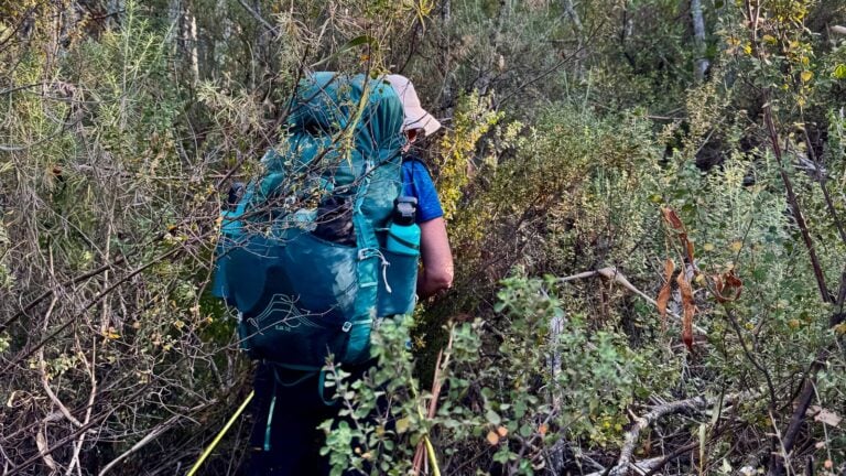 When family hiking doesn’t make sense (and that’s ok)