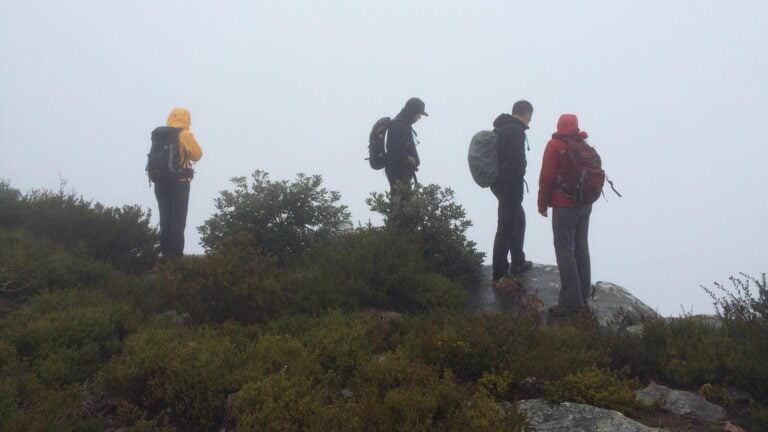 Why waterproof jackets fail: wet-out, structural breakdown, and the limits of shell performance