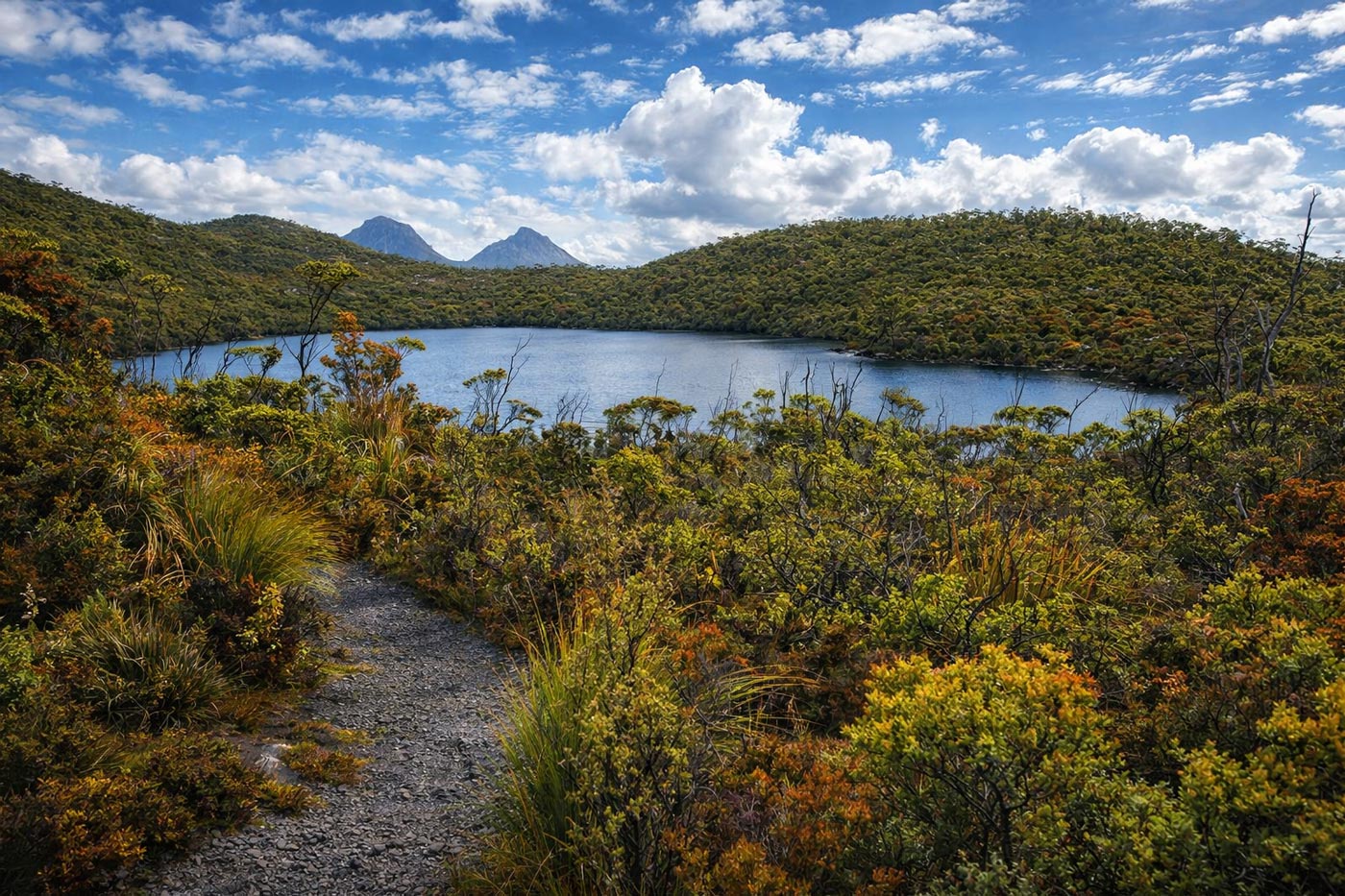 Narrow walking track leading through alpine shrubs toward a small glacial lake, with rounded hills and distant peaks in hartz mountains national park.