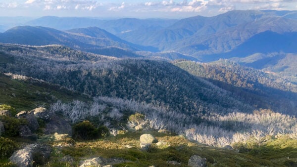 Bogong-Hotham Alpine Circuit Bogong-hotham alpine circuit