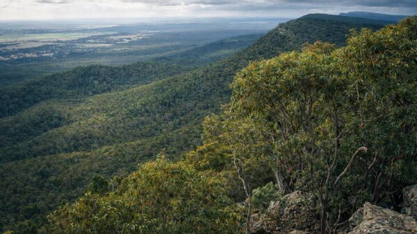 Burrabadine Peak Walking Track Burrabadine peak walking track