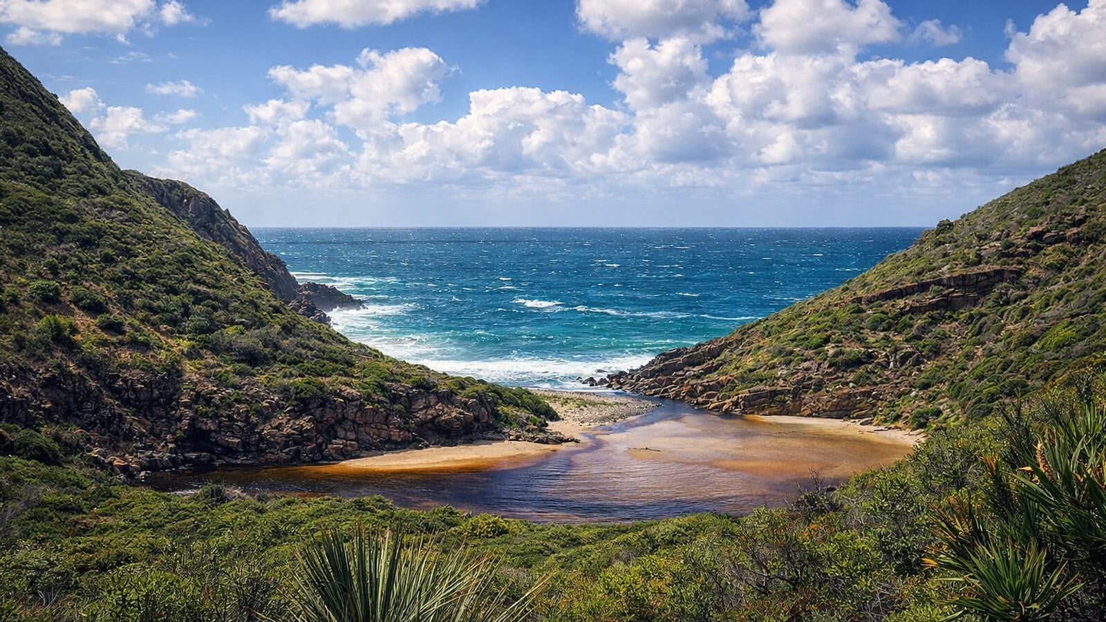 Deep Creek National Park: Where the Bush Meets the Southern Ocean Scenic coastal valley view on the deep creek circuit hike, with tannin-stained creek water pooling between scrub-covered hillsides before meeting a small beach and the deep blue southern ocean beyond, under a partly cloudy sky.