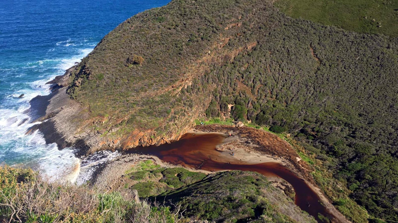 Deep Creek National Park: Where the Bush Meets the Southern Ocean Aerial view looking down from tapanappa lookout to deep creek cove, where tannin-stained creek water meets a small rocky beach before flowing into the turquoise southern ocean, surrounded by dense coastal scrub.
