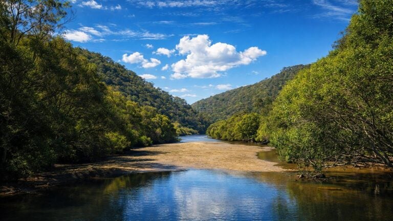 Galston gorge to mt kuring-gai hike