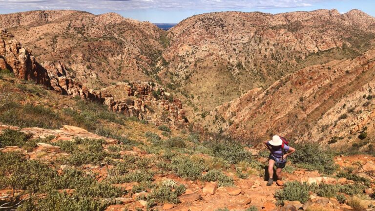Hiking in the australian outback