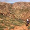 Hiking in the australian outback