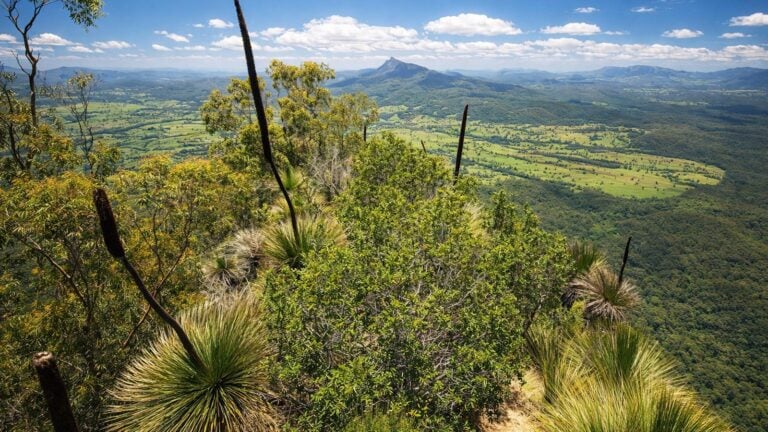 Pinnacle Lookout Walk Pinnacle lookout walk