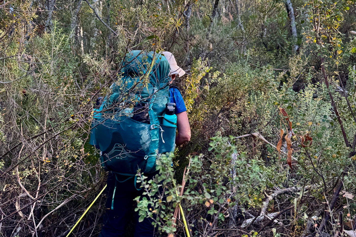 Hiker moving through dense australian bush with limited forward visibility