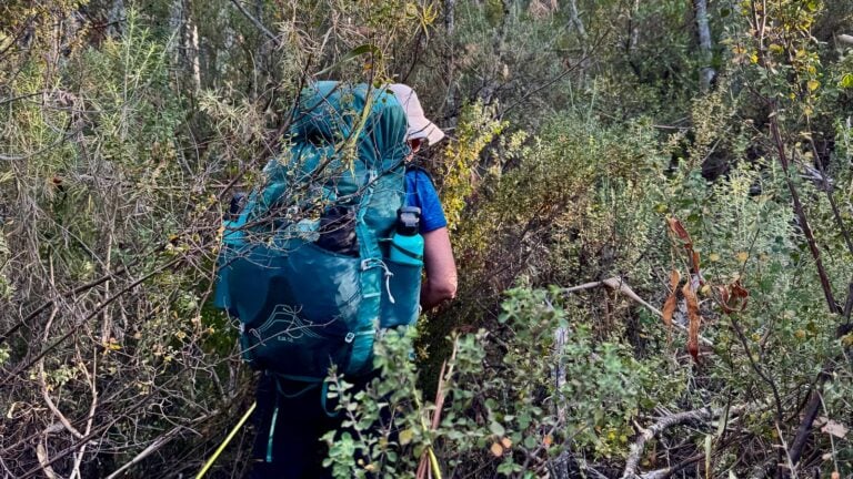 Bushwalking rescues aren’t random