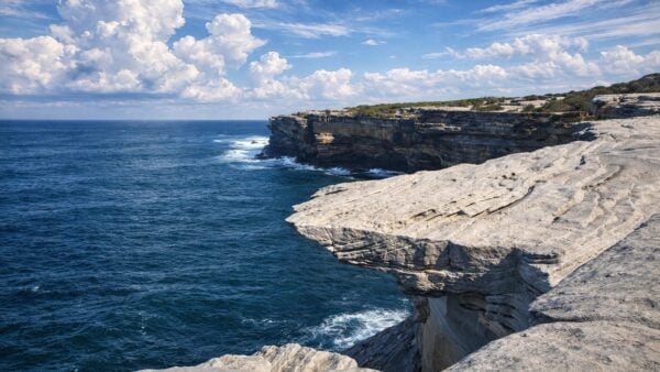 Cape Bailey Track from Cape Solander Lookout Cape bailey track from cape solander lookout