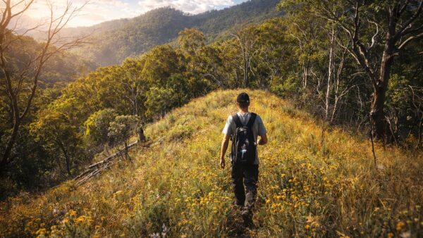 Hiker-on-ridge-on-sunny-day Hiker walking along an open ridgeline in dry bushland under clear weather conditions