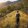 Hiker walking along an open ridgeline in dry bushland under clear weather conditions