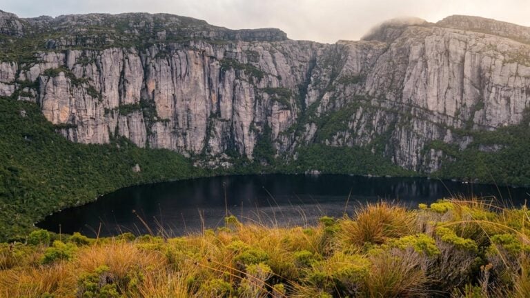 Is tourism helping or harming national parks and protected areas?