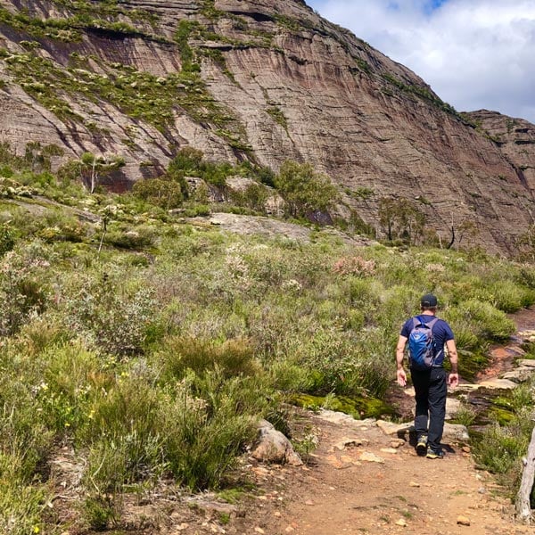 Hssf foundations is a free, structured introduction to how incidents develop and how to recognise system strain before it becomes critical.