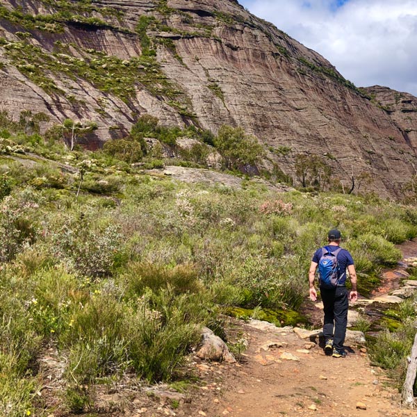 Hssf foundations is a free, structured introduction to how incidents develop and how to recognise system strain before it becomes critical.