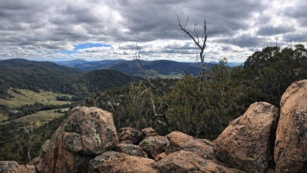 Mount ned overlook walk